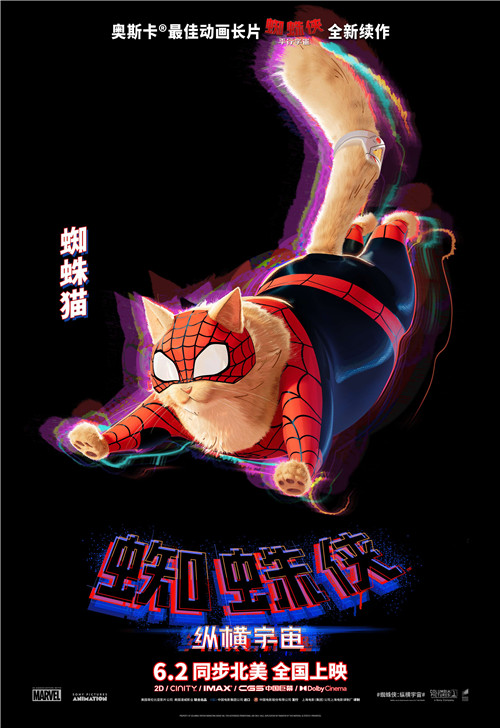 蜘蛛猫_.jpg